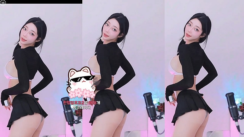늘씬한 여캠 BJㅎ잉 Sexy 의상들 Highlight